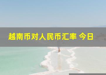 越南币对人民币汇率 今日